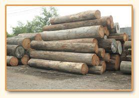 Log yard, incoming stock